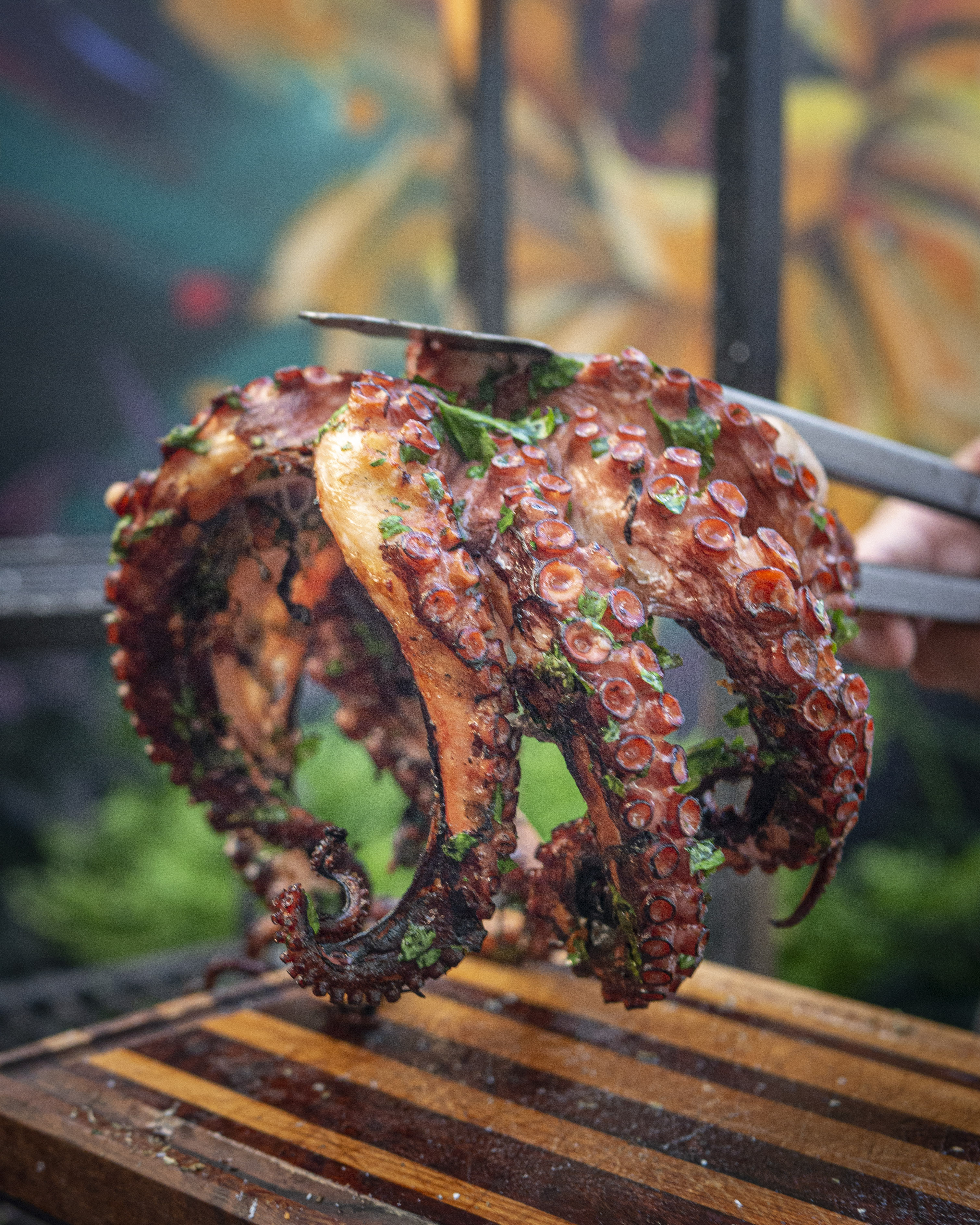 Photography by Pedro Pucheu